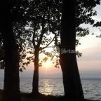 BF Hotel Balatonföldvár - Környék