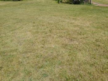 Mustang Ranch Üdülőháztelep Kiskunmajsa