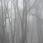 Hotel Három Hattyú Balatonföldvár - Környék