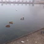 Hotel Három Hattyú Balatonföldvár - Környék