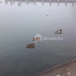 Hotel Három Hattyú Balatonföldvár - Környék