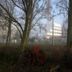 Hotel Három Hattyú Balatonföldvár - Környék