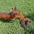 Noé Kertje Élménypark Eger - Egyéb