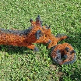 Noé Kertje Élménypark, Eger - Egyéb