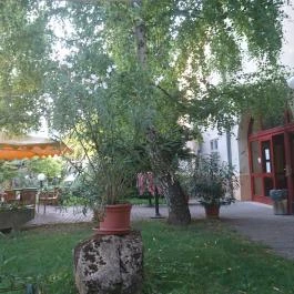 Asztrik Panzió, Kalocsa - Medence/kert