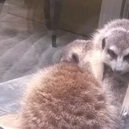 Bambara Hotel, Felsőtárkány - Egyéb