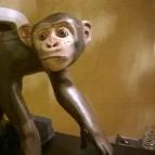 Bambara Hotel Felsőtárkány - Egyéb