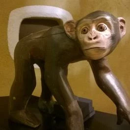 Bambara Hotel, Felsőtárkány - Egyéb