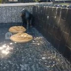 Bambara Hotel Felsőtárkány - Medence/kert