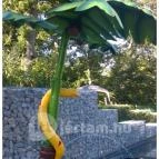 Bambara Hotel Felsőtárkány - Medence/kert