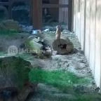 Bambara Hotel Felsőtárkány - Környék