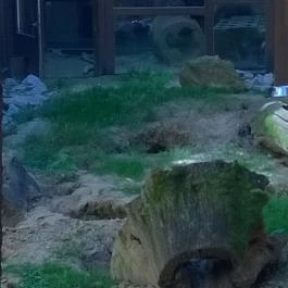 Bambara Hotel, Felsőtárkány - Környék