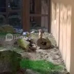 Bambara Hotel Felsőtárkány - Környék