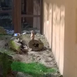 Bambara Hotel, Felsőtárkány - Környék