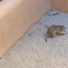 Bambara Hotel, Felsőtárkány - Belső