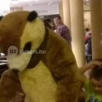 Bambara Hotel Felsőtárkány - Belső