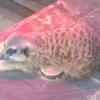 Bambara Hotel Felsőtárkány - Belső