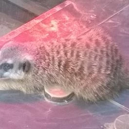 Bambara Hotel, Felsőtárkány - Belső