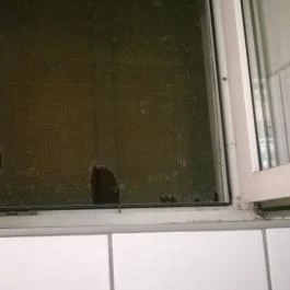 Bonchidai Csárda, Tokaj - Egyéb