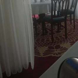 Cascade Hotel Étterme, Demjén - Belső