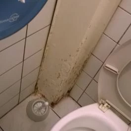 Corner Kávézó & Koktélbár, Sátoraljaújhely - Mosdó