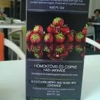 Csokonai Söröző & Étterem Debrecen - Étlap/itallap