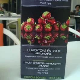 Csokonai Söröző & Étterem, Debrecen - Étlap/itallap