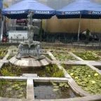 Egri Termálfürdő Eger - 