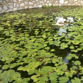 Egri Termálfürdő, Eger - 