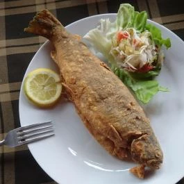 Ételbárka, Visegrád - Étel/ital