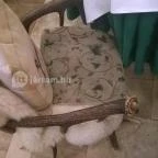 Fehérszarvas Vadásztanya Étterem Eger - Belső