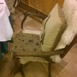 Fehérszarvas Vadásztanya Étterem, Eger - Belső