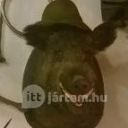 Fehérszarvas Vadásztanya Étterem Eger - Belső