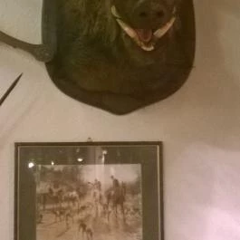 Fehérszarvas Vadásztanya Étterem, Eger - Belső