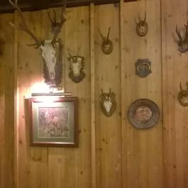 Fehérszarvas Vadásztanya Étterem, Eger - Egyéb