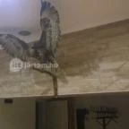 Fehérszarvas Vadásztanya Étterem Eger - Egyéb