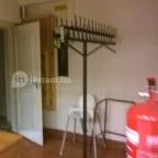 Fehérszarvas Vadásztanya Étterem Eger - Belső