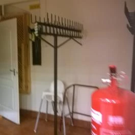 Fehérszarvas Vadásztanya Étterem, Eger - Belső