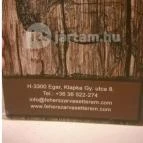 Fehérszarvas Vadásztanya Étterem Eger - Belső