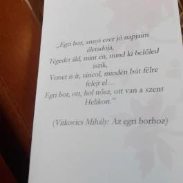 Furmint Drinkbár, Egerszalók - Étlap/itallap