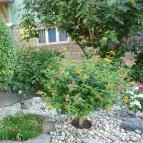 Guszti Villa Hévíz - Medence/kert