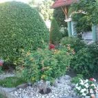 Guszti Villa Hévíz - Medence/kert