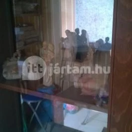 Halász Cukrászüzem Szerencs - Egyéb