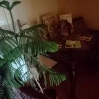 Három a Kislány Vendégház I. Hévíz - Szobák