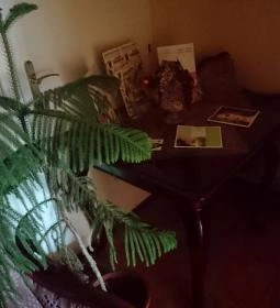 Három a Kislány Vendégház I.