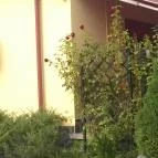 Heitzmann Cukrászda Sárospatak - Külső kép