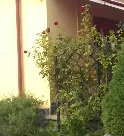 Heitzmann Cukrászda