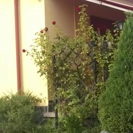 Heitzmann Cukrászda, Sárospatak - Külső kép