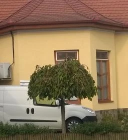 Heitzmann Cukrászda