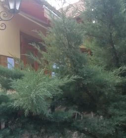 Heitzmann Cukrászda